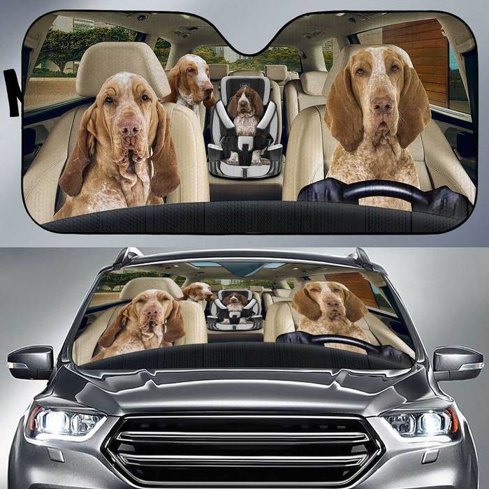 Bracco Italiano Auto Sun Shade Baby In Car, Gift Ideas 2022