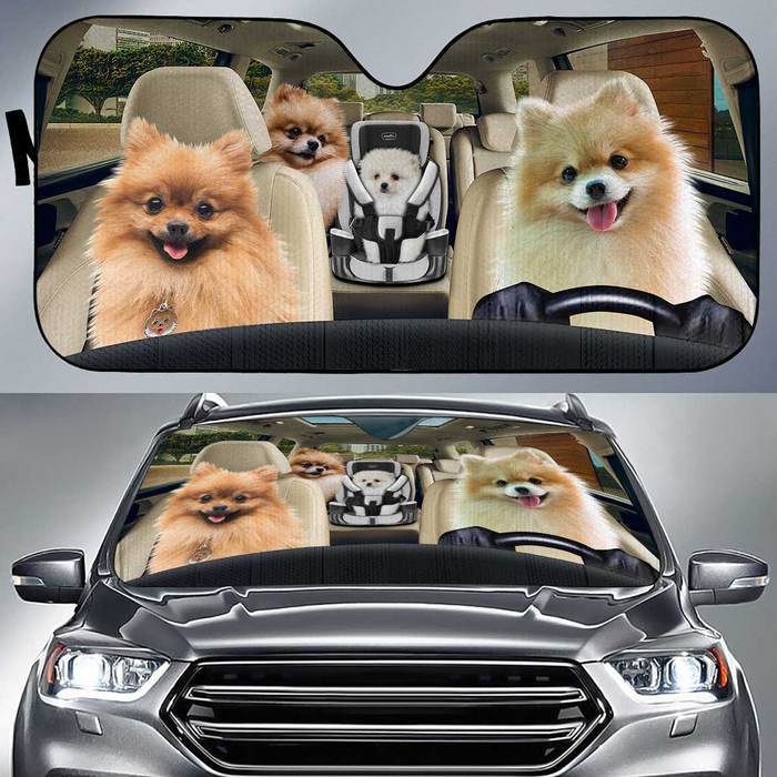 Pomeranian Auto Sun Shade Baby In Car, Gift Ideas 2021