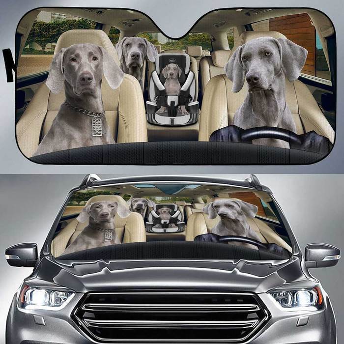 Weimaraner Auto Sun Shade Baby In Car, Gift Ideas 2021