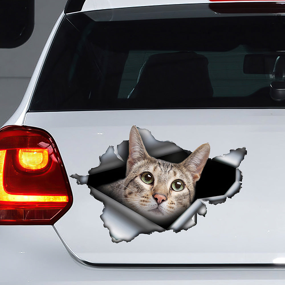 Best Savannah Cat Car 3D Stickers Decal Car Accessories Car Decoration Amazing Gift Idea