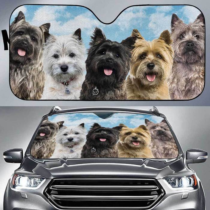 Cairn Terrier Funny Team , Gift Ideas 2022