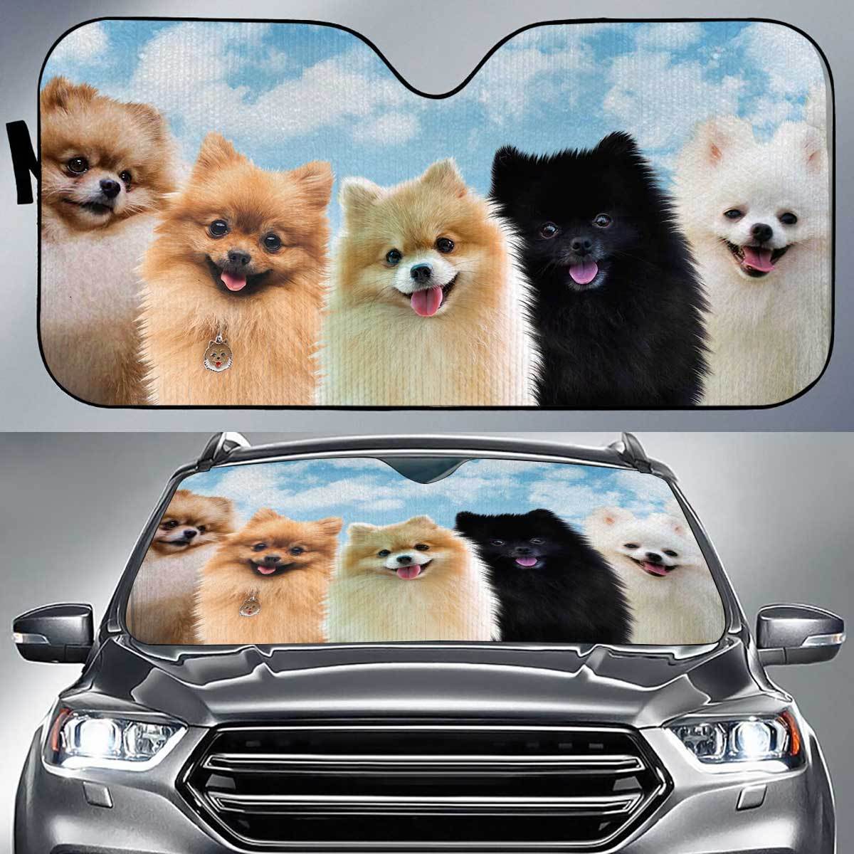 Pomeranian Funny Team Auto Sun Shade Gift Ideas 2021