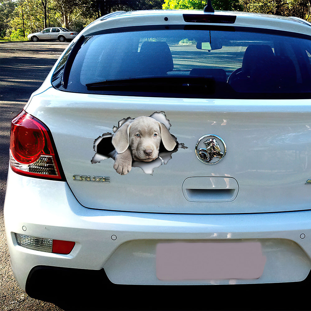 Best Silver Lab Puppy Car 3D Stickers Decal Car Accessories Car Decoration Amazing Gift Idea