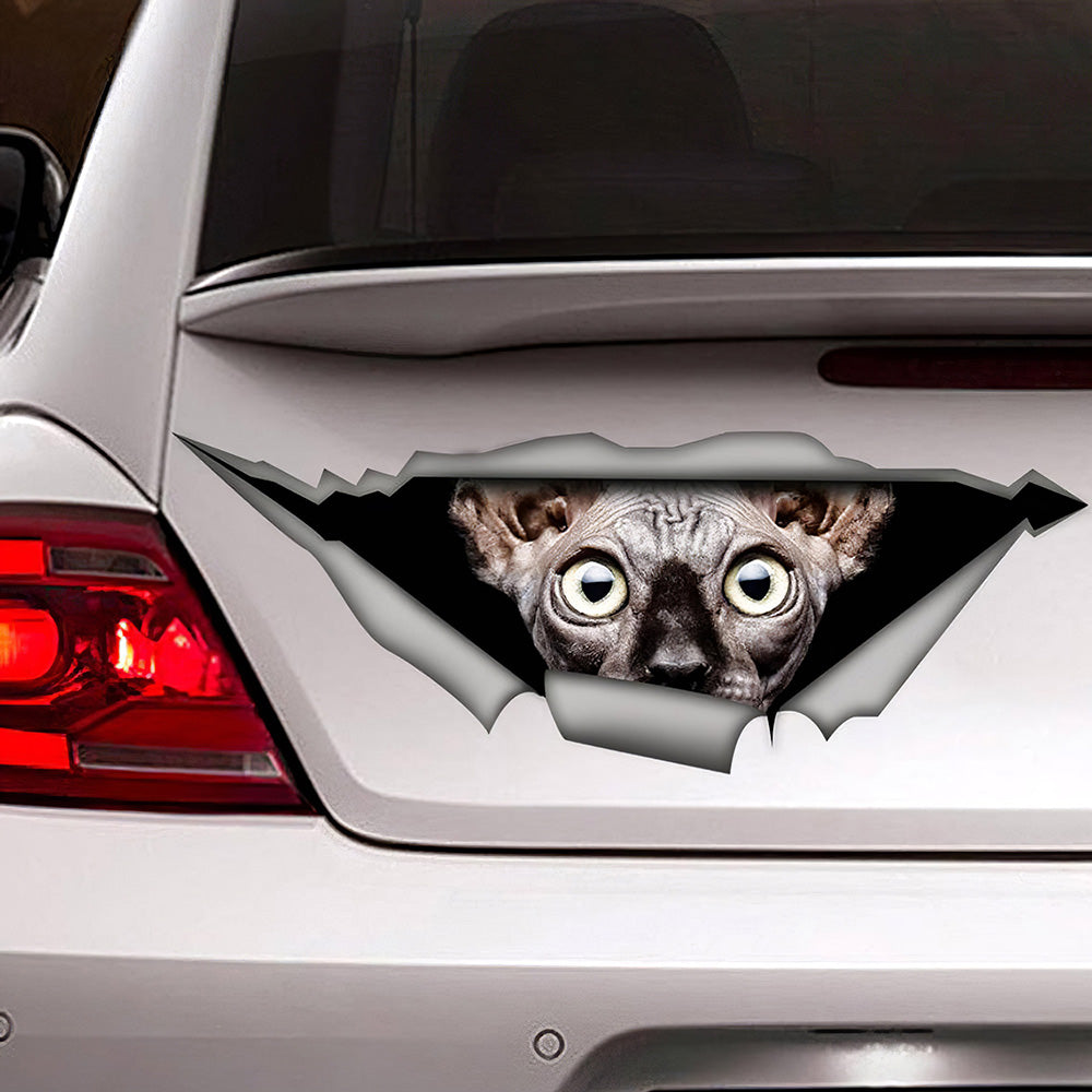 Best Sphynx Cat Sticker, Car 3D Stickers Decal Car Accessories Car Decoration Amazing Gift Idea