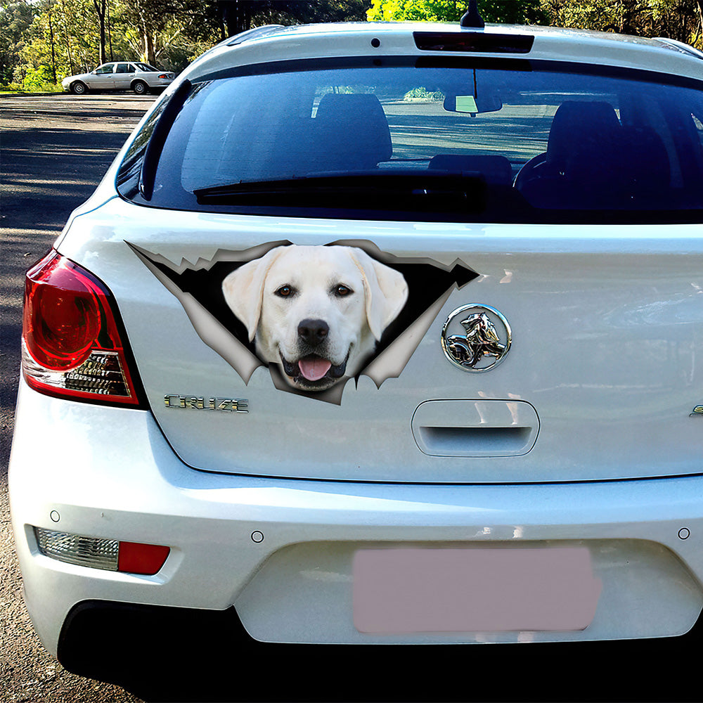 Best White Labrador Decal, Lab Decal, White Lab Car 3D Stickers Decal Car Accessories Car Decoration Amazing Gift Idea