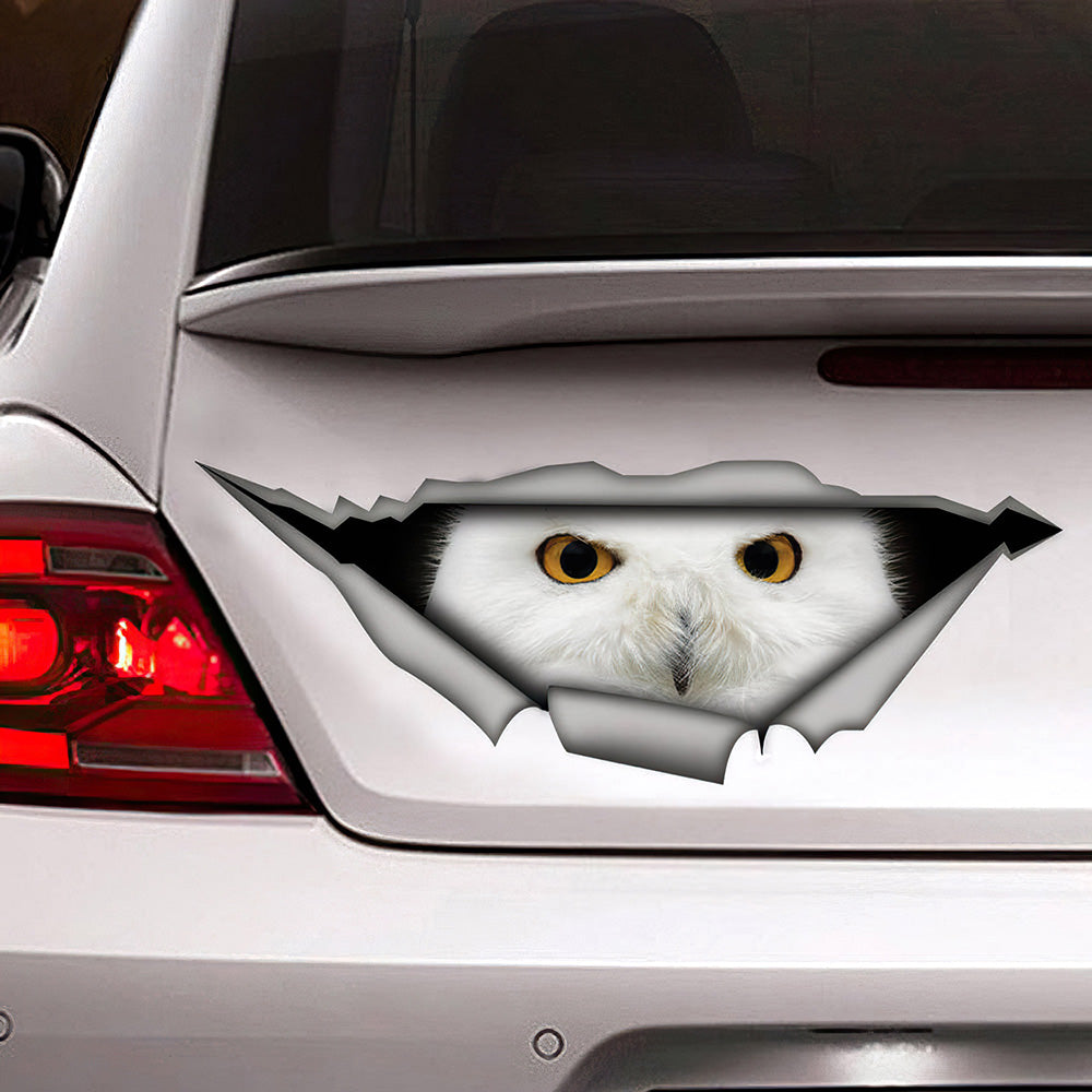 Best White Owl Sticker, Owl Car 3D Stickers Decal Car Accessories Car Decoration Amazing Gift Idea