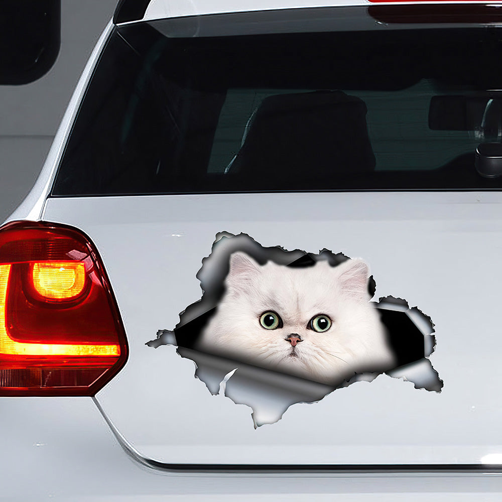 Best White Persian Cat Car 3D Stickers Decal Car Accessories Car Decoration Amazing Gift Idea