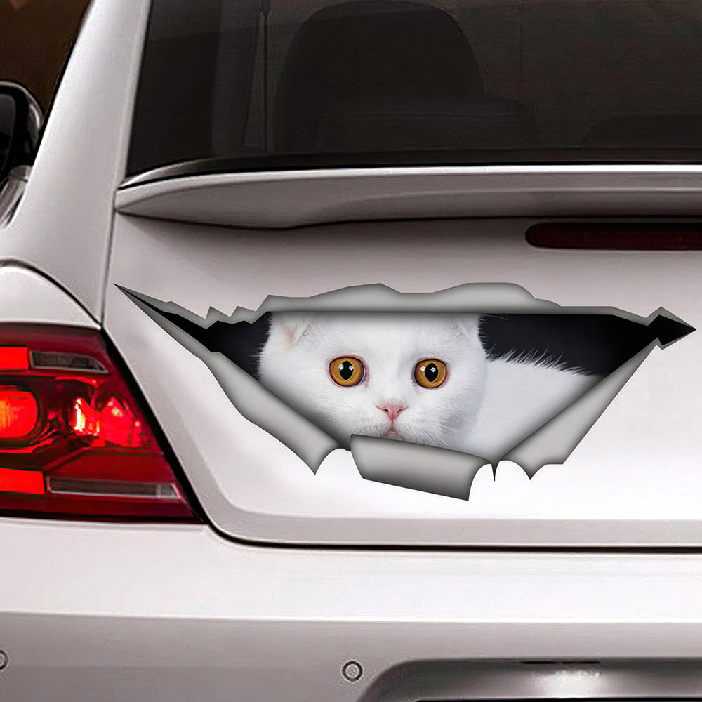 Best White Scottish Fold Car 3D Stickers Decal Car Accessories Car Decoration Amazing Gift Idea