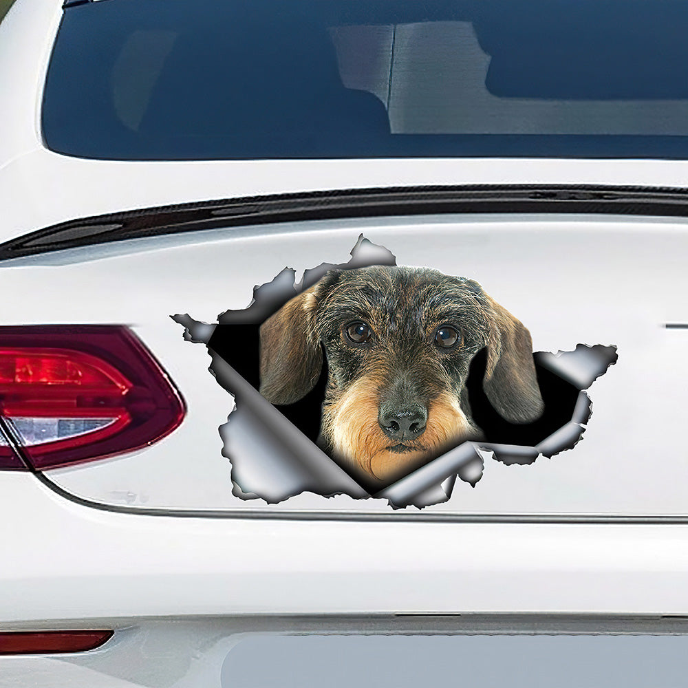 Best Wire Haired Dachshund Car 3D Stickers Decal Car Accessories Car Decoration Amazing Gift Idea