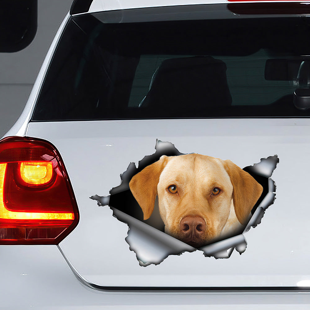 Best Yellow Lab Car 3D Stickers Decal Car Accessories Car Decoration Amazing Gift Idea