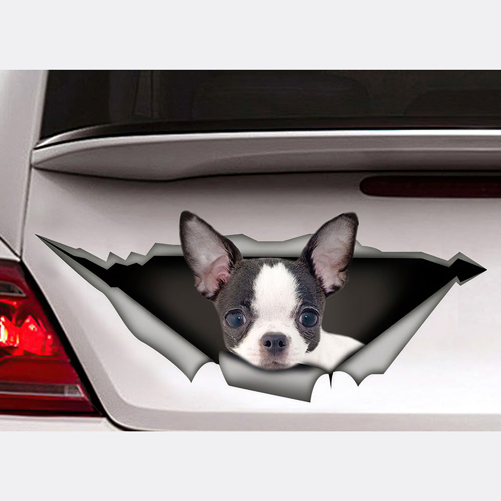 Best Black And White Chihuahua Car Sticker 3 Car 3D Stickers Decal Car Accessories Car Decoration Amazing Gift Idea