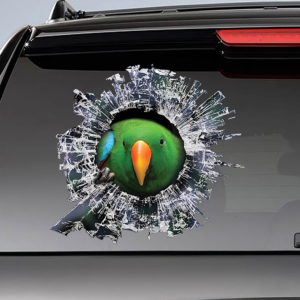 Best Eclectus Roratus Window Car 3D Stickers Decal Car Accessories Car Decoration Amazing Gift Idea