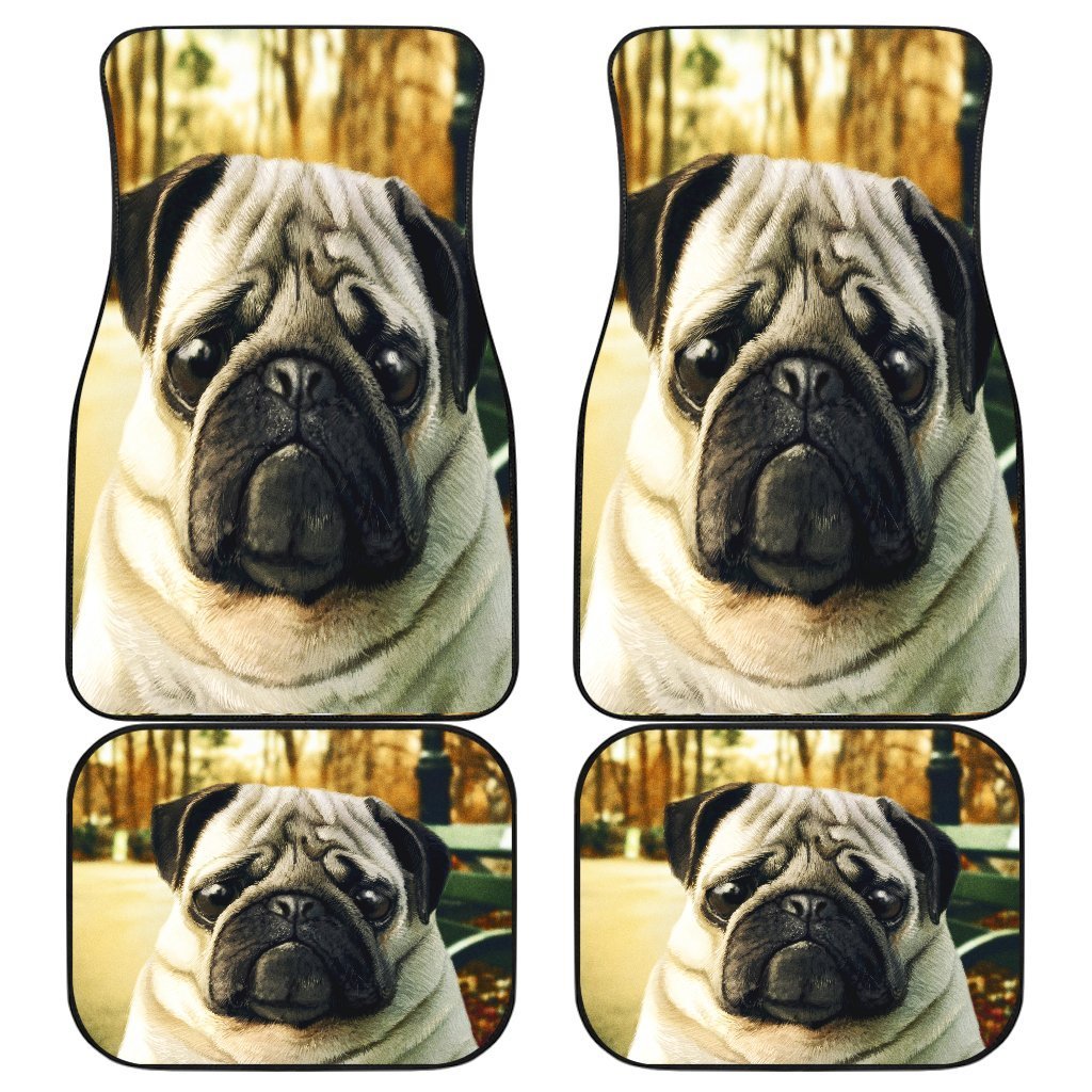 Pug Dog Hungry Sad Face Car Floor Mats