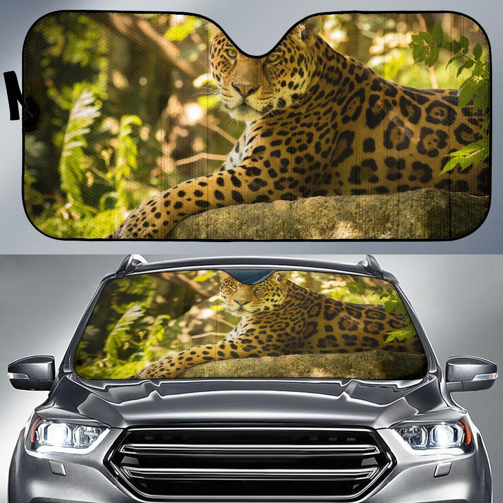 Chincha The Jaguar Jaguar Dartmoor Zoo Hd Car Sun Shade Gift Ideas 2022