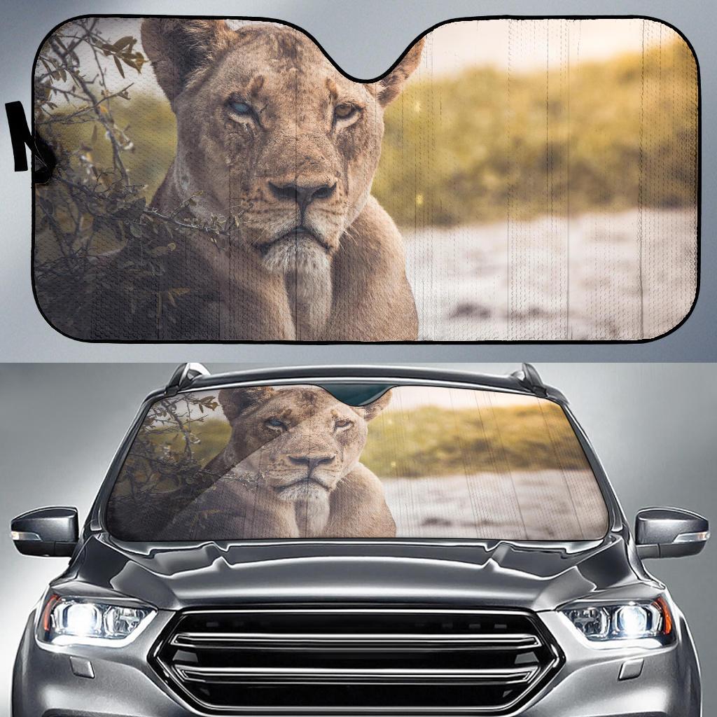 Lioness Chobe National Park Botswana 4K Car Sun Shade Gift Ideas 2021