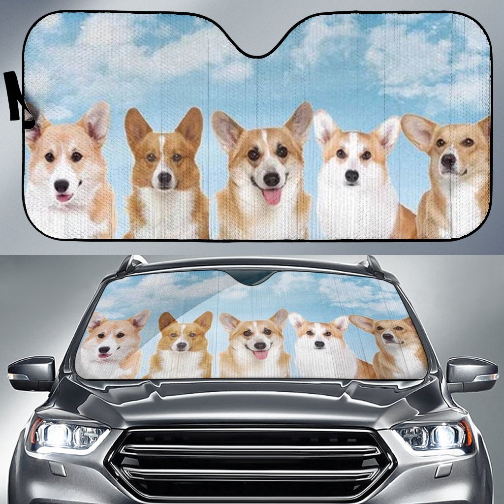 Cargi Team Car Sun Shade Gift Ideas 2021