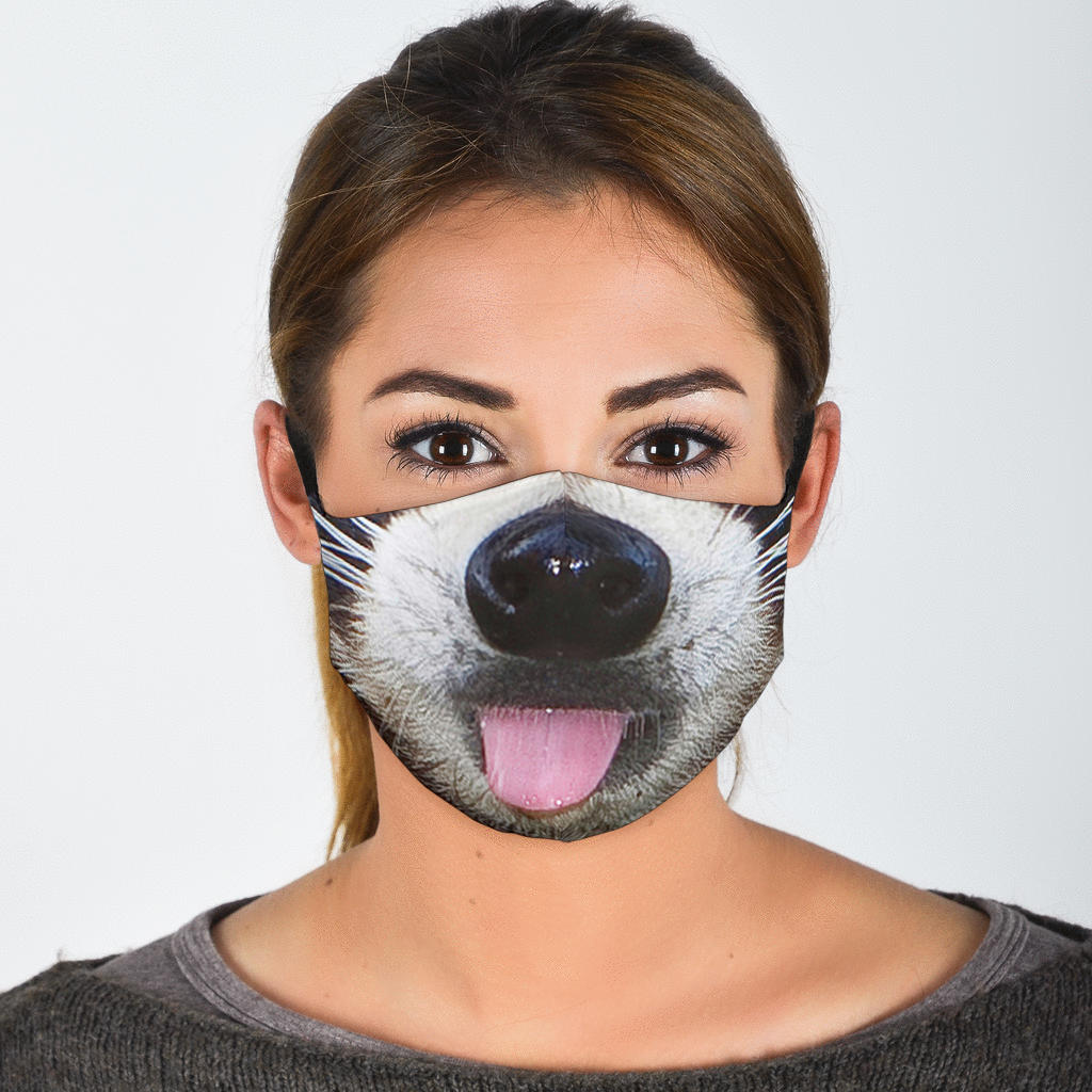 Raccoon Face Mask