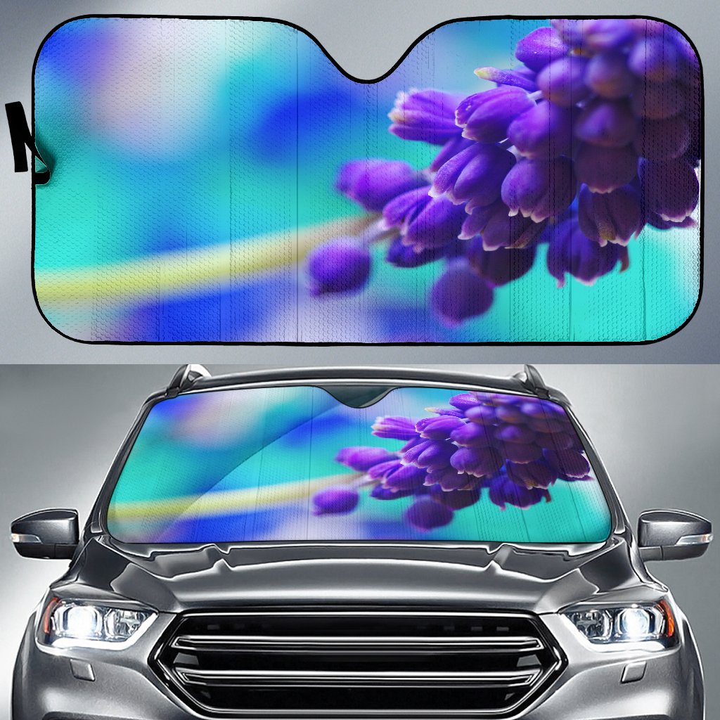 Muscari Flowers Purple Sun Shade Gift Ideas 2022