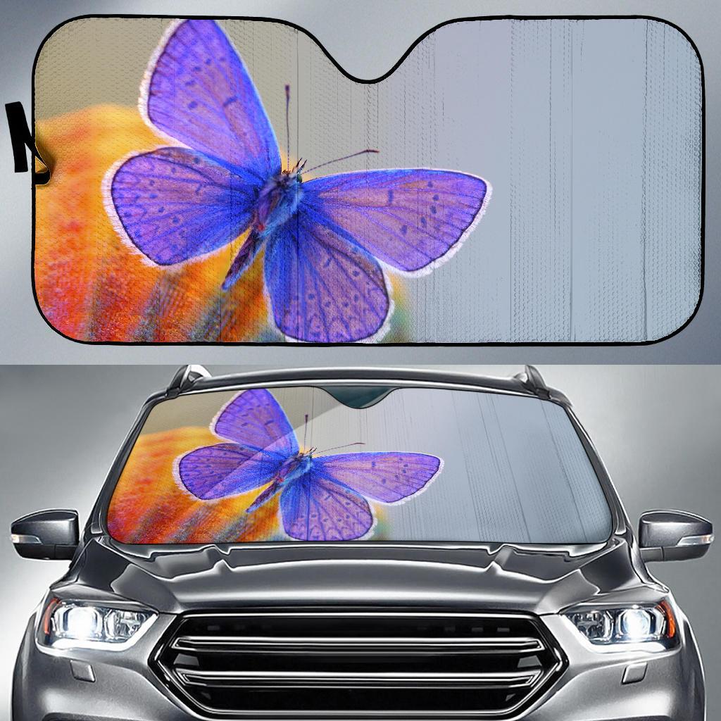 Blue Butterfly Macro Hd Car Sun Shade Gift Ideas 2021