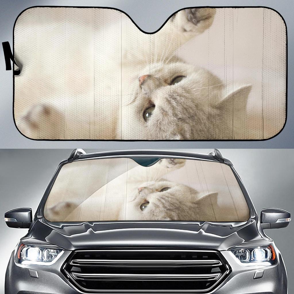 Kitty Cat Cute Kitten 4K Car Sun Shade Gift Ideas 2022