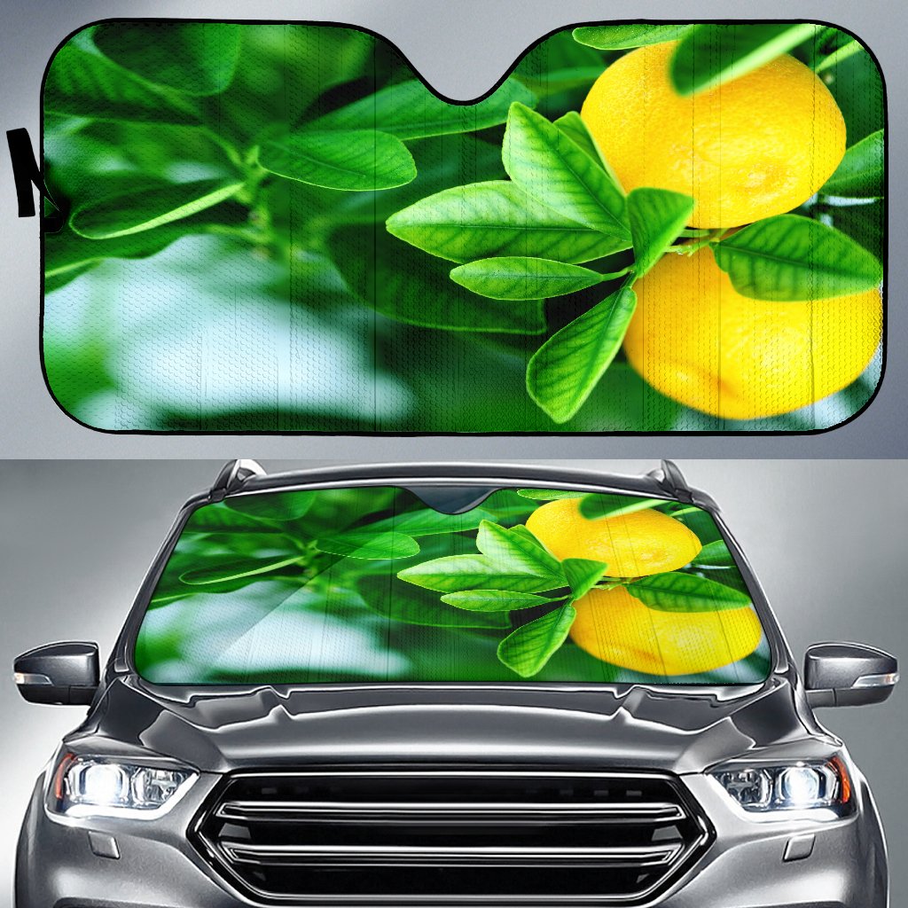 Lemon Tree Sun Shade Gift Ideas 2021