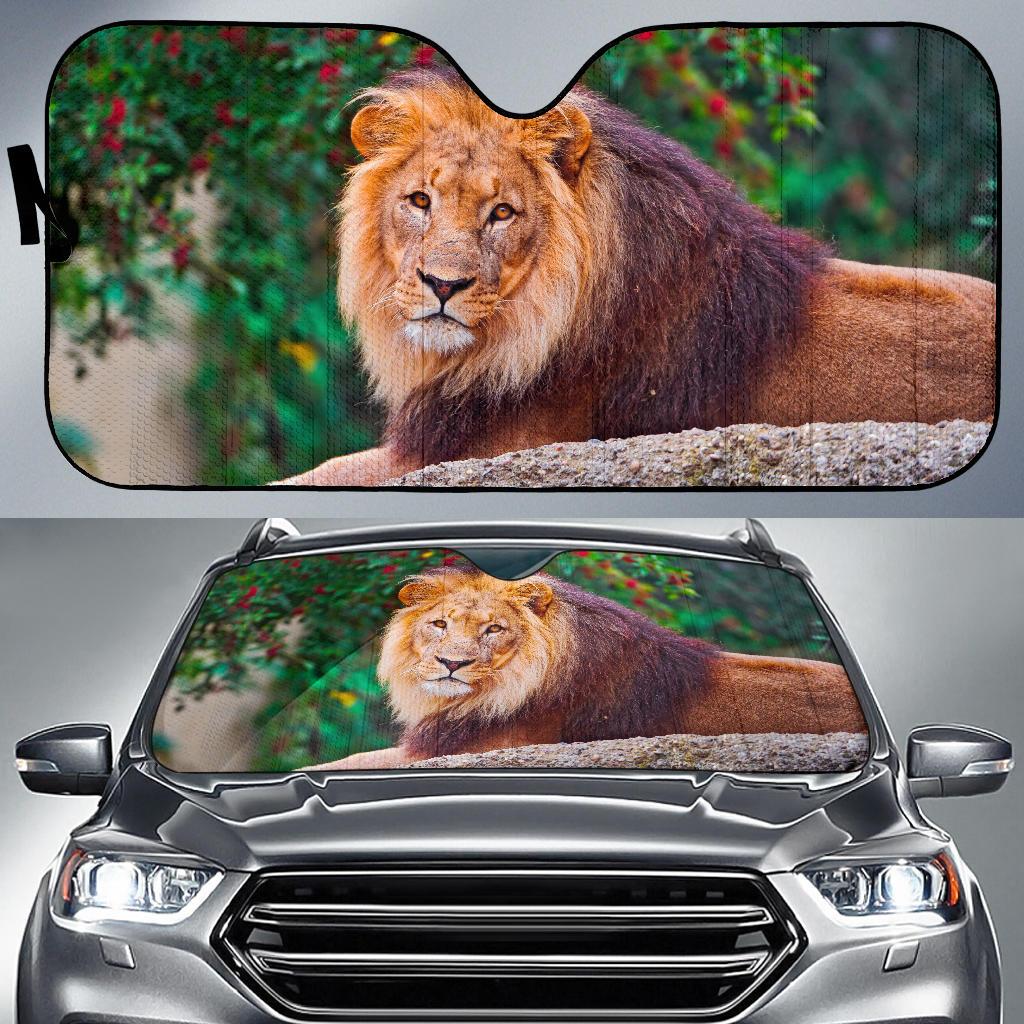 Lion Splash Artwork 4K Car Sun Shade Gift Ideas 2022