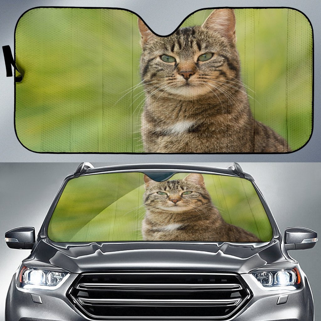 Wild Cat Sun Shade Gift Ideas 2021