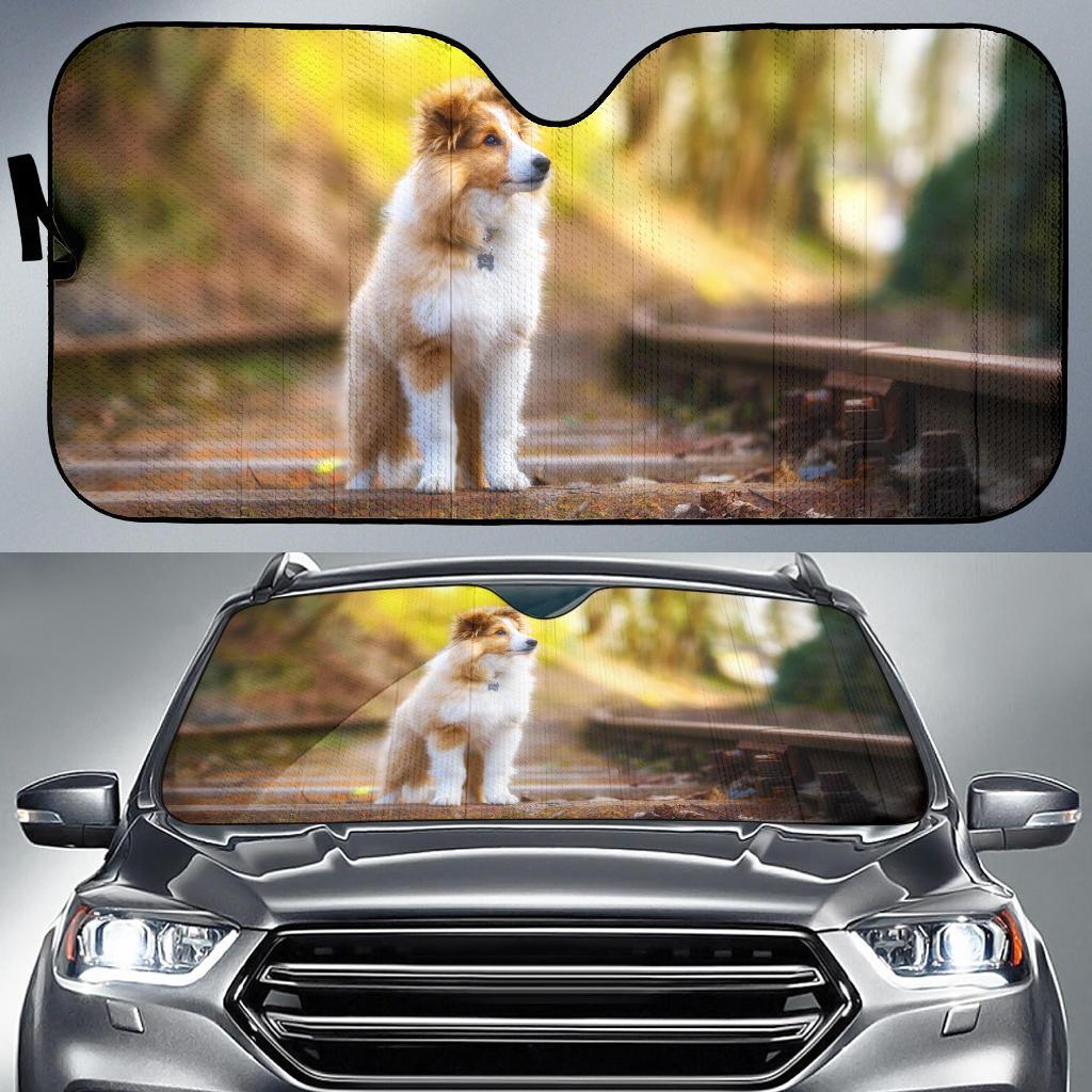 Shetland Sheepdog Hd 4K Car Sun Shade Gift Ideas 2021