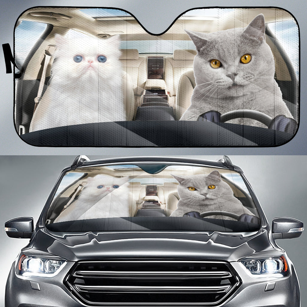 Cute Chubby Cat With White Cat Sunshade