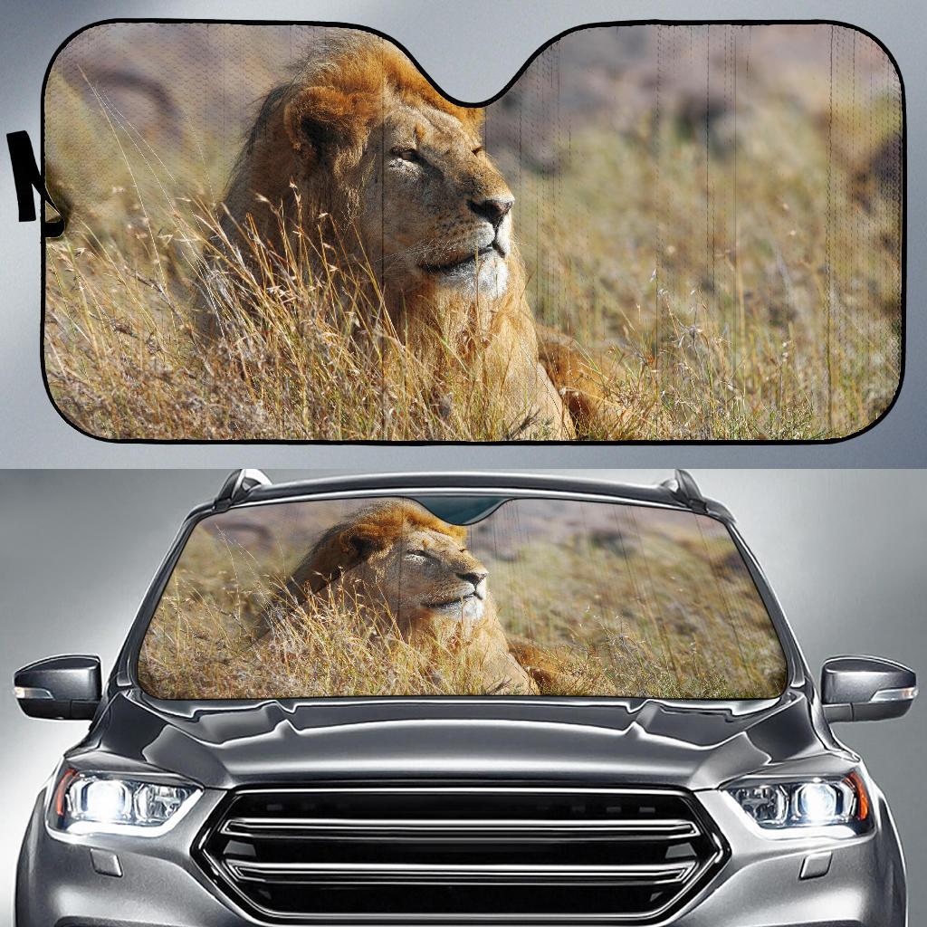 African Lion Hd 5K Car Sun Shade Gift Ideas 2022