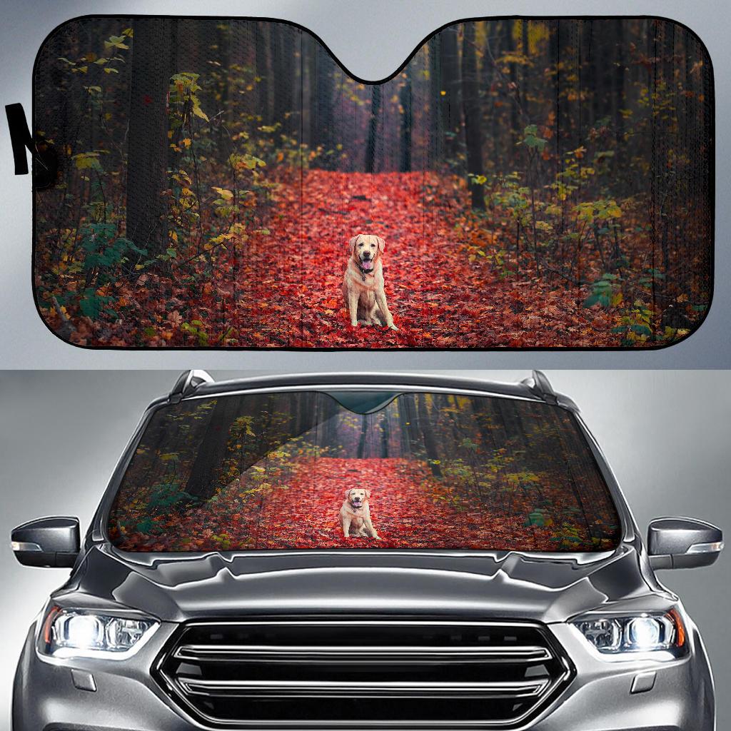 Labrador Retriever Autumn Foliage Forest Hd Car Sun Shade Gift Ideas 2022