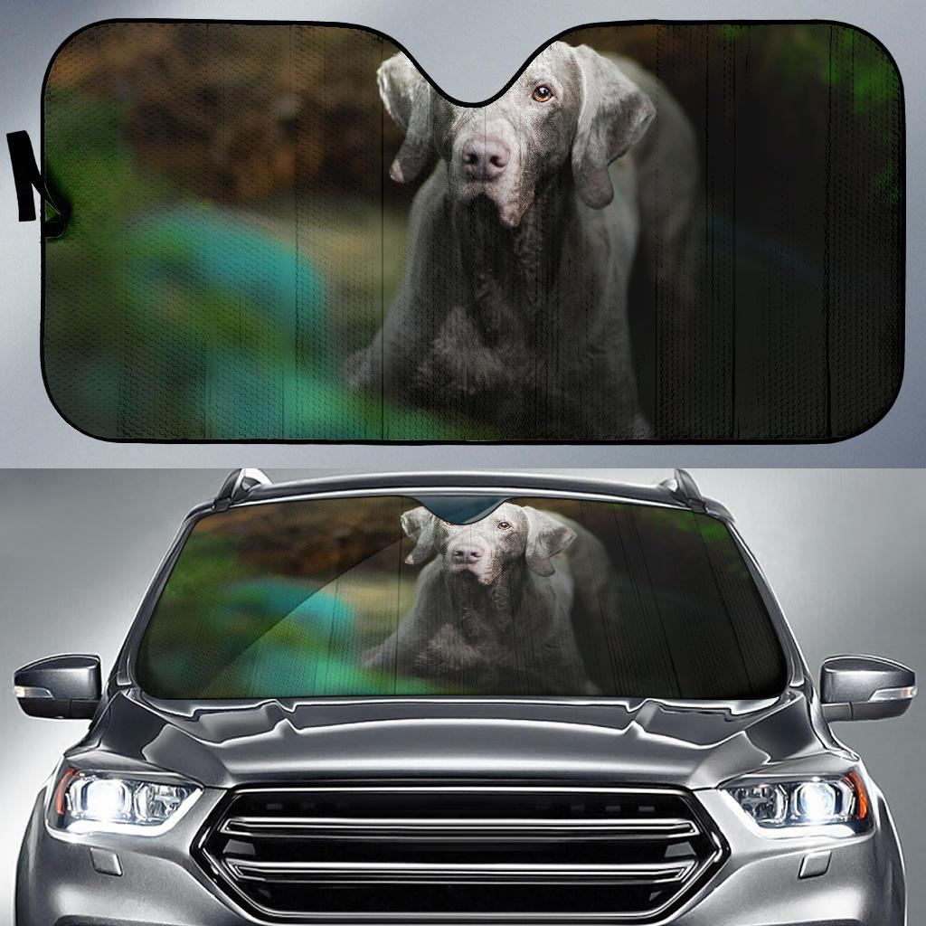 Weimaraner Breed Dog 4K Car Sun Shade Gift Ideas 2022