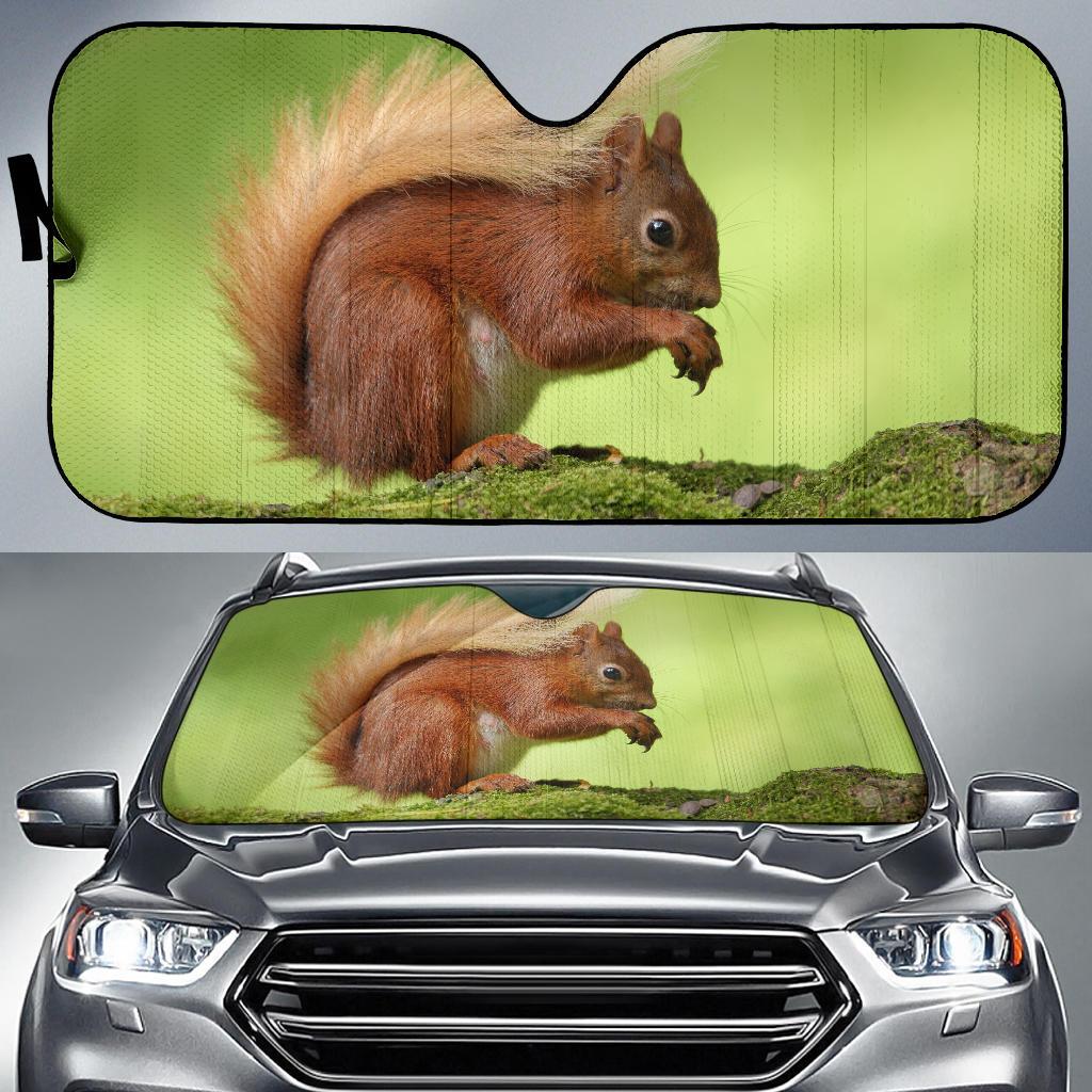 Squirrel Hd Car Sun Shade Gift Ideas 2022