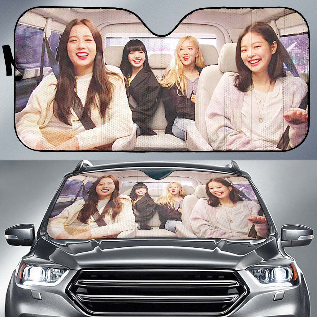 Black Pink 4 Car Sun Auto Shade