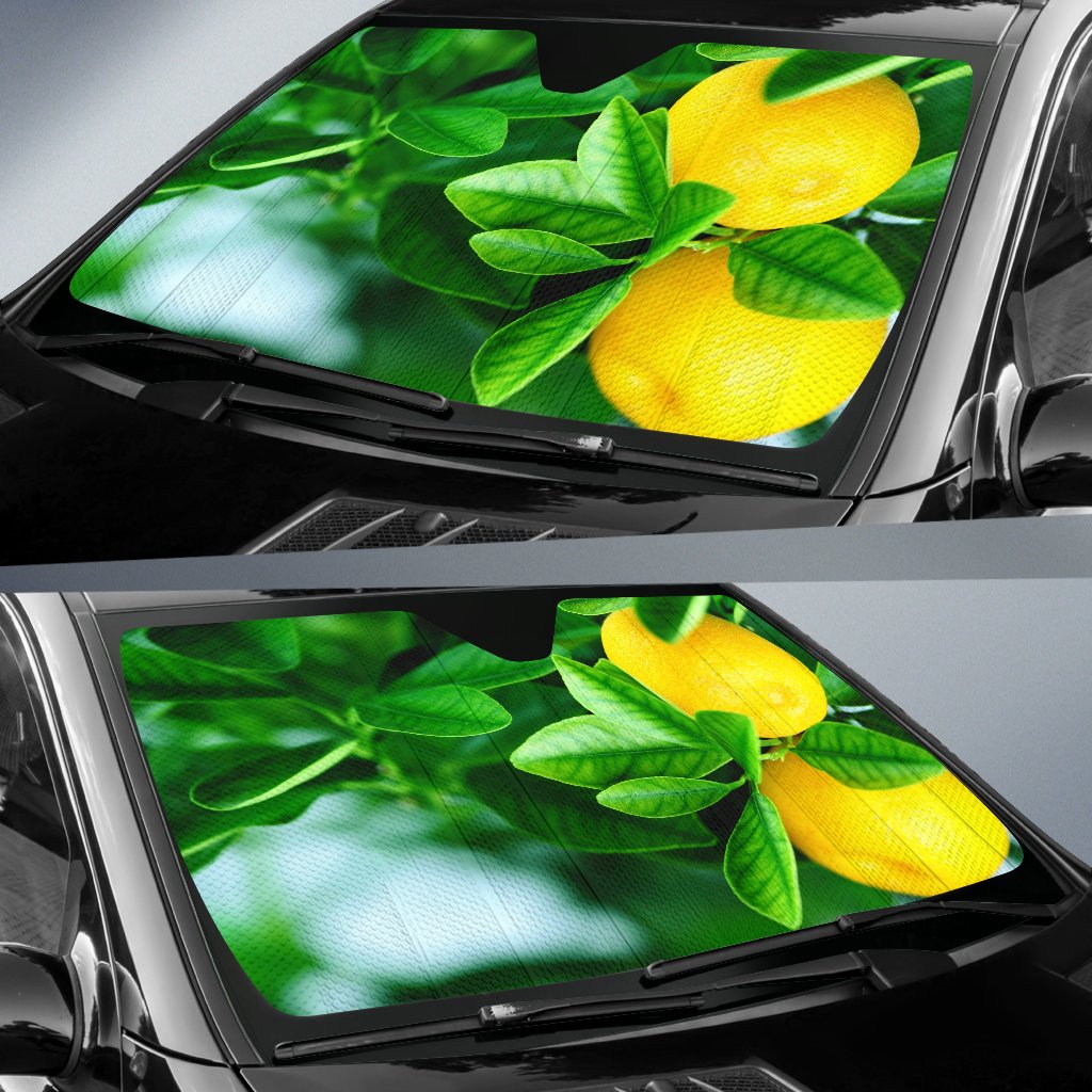 Lemon Tree Sun Shade Gift Ideas 2021