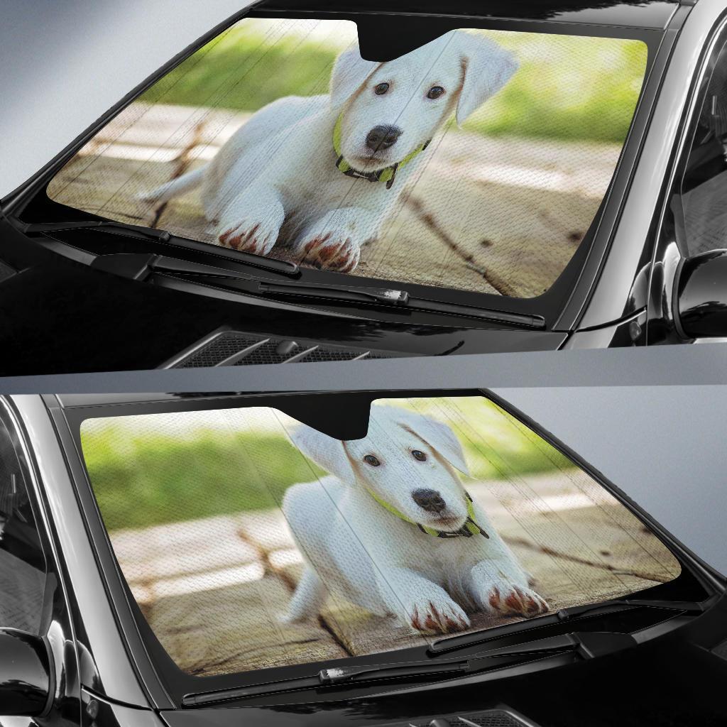 Puppy Cute Dog Auto Sun Shades Amazing Best Gift Ideas 2022