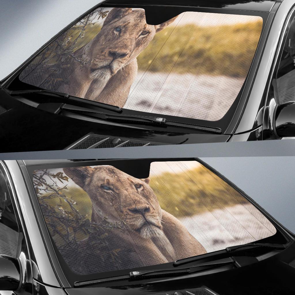 Lioness Chobe National Park Botswana 4K Car Sun Shade Gift Ideas 2021