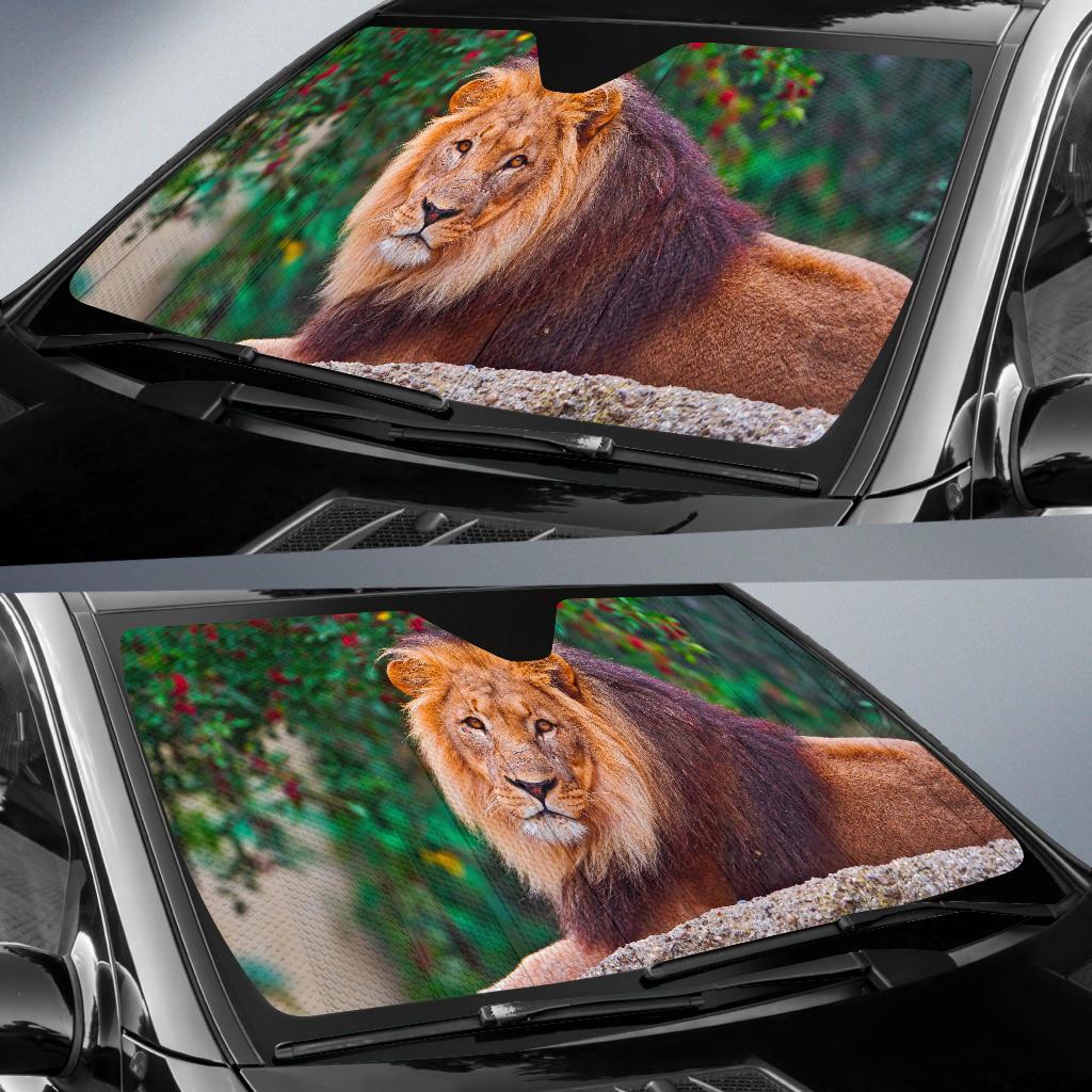 Lion Splash Artwork 4K Car Sun Shade Gift Ideas 2022