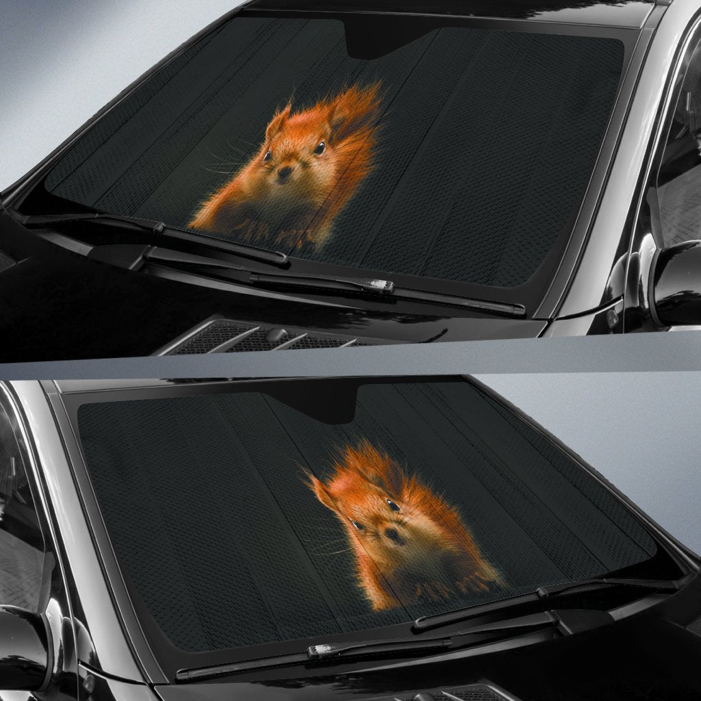 Squirrel In Dark Theme Car Auto Sunshades Amazing Best Gift Ideas 2022