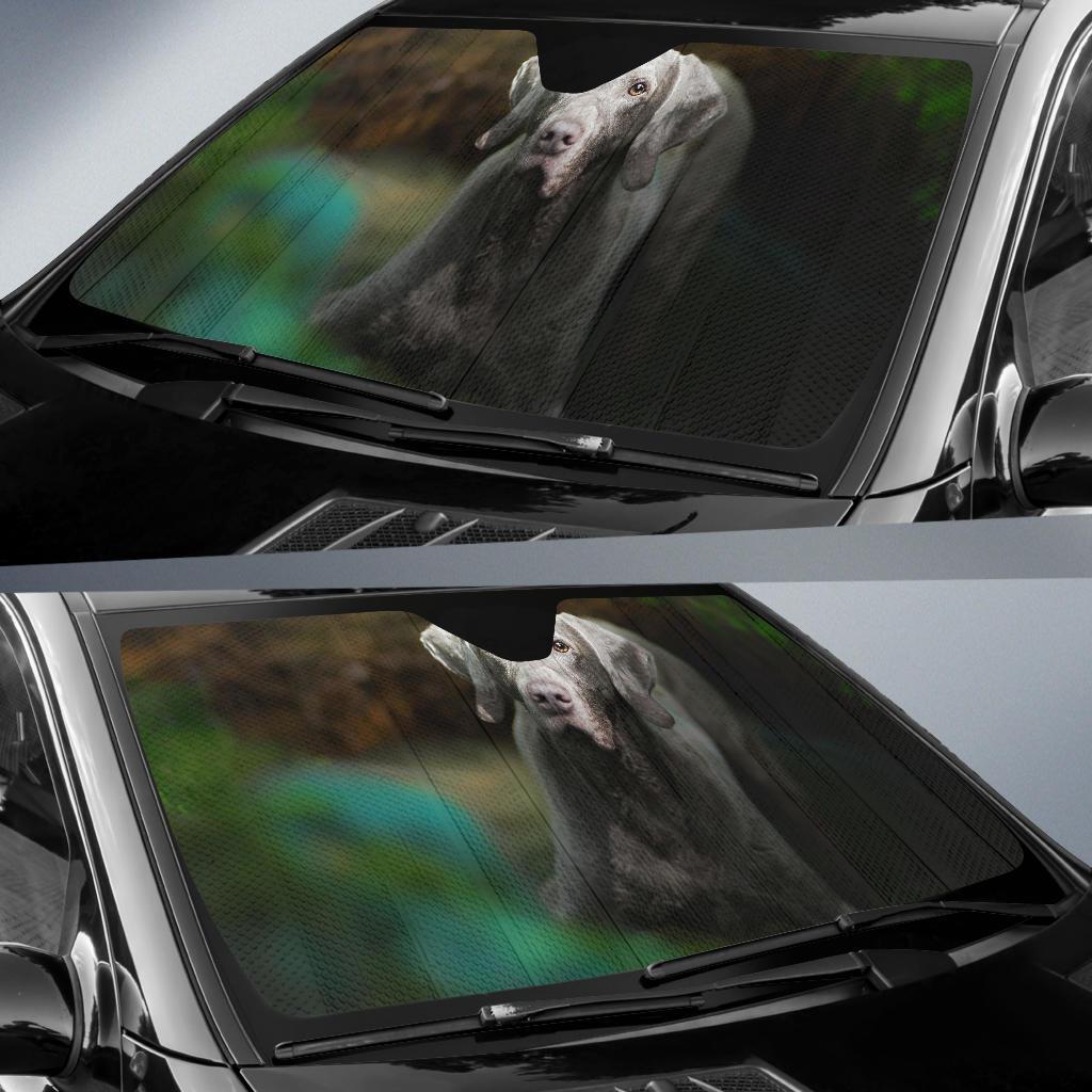 Weimaraner Breed Dog 4K Car Sun Shade Gift Ideas 2022