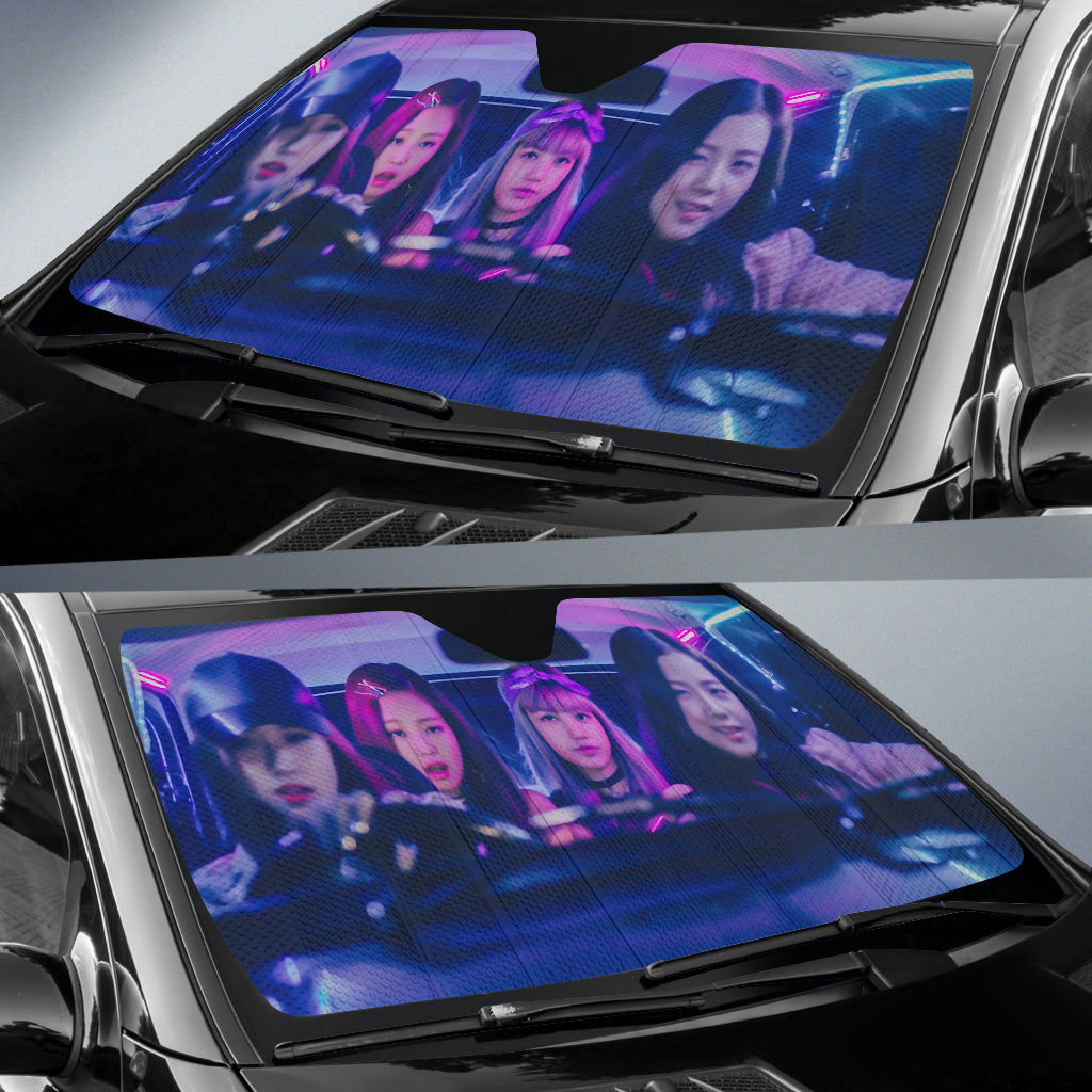 Black Pink Car Sun Auto Shade