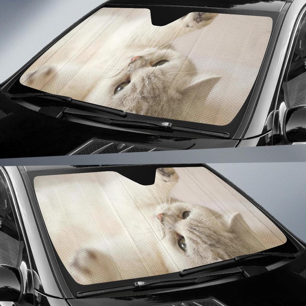 Kitty Cat Cute Kitten 4K Car Sun Shade Gift Ideas 2022