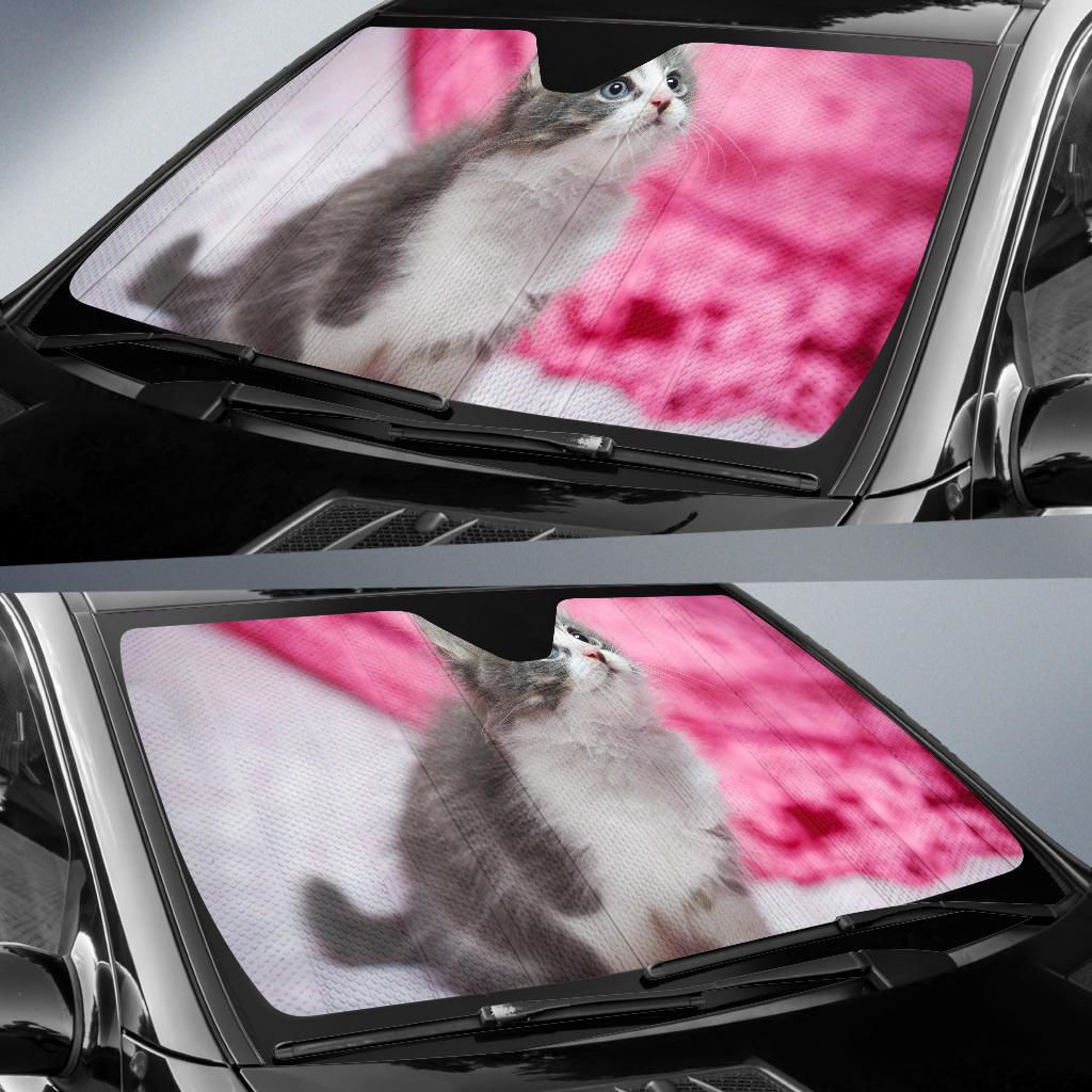 Cat Kitty Hd Car Sun Shade Gift Ideas 2022