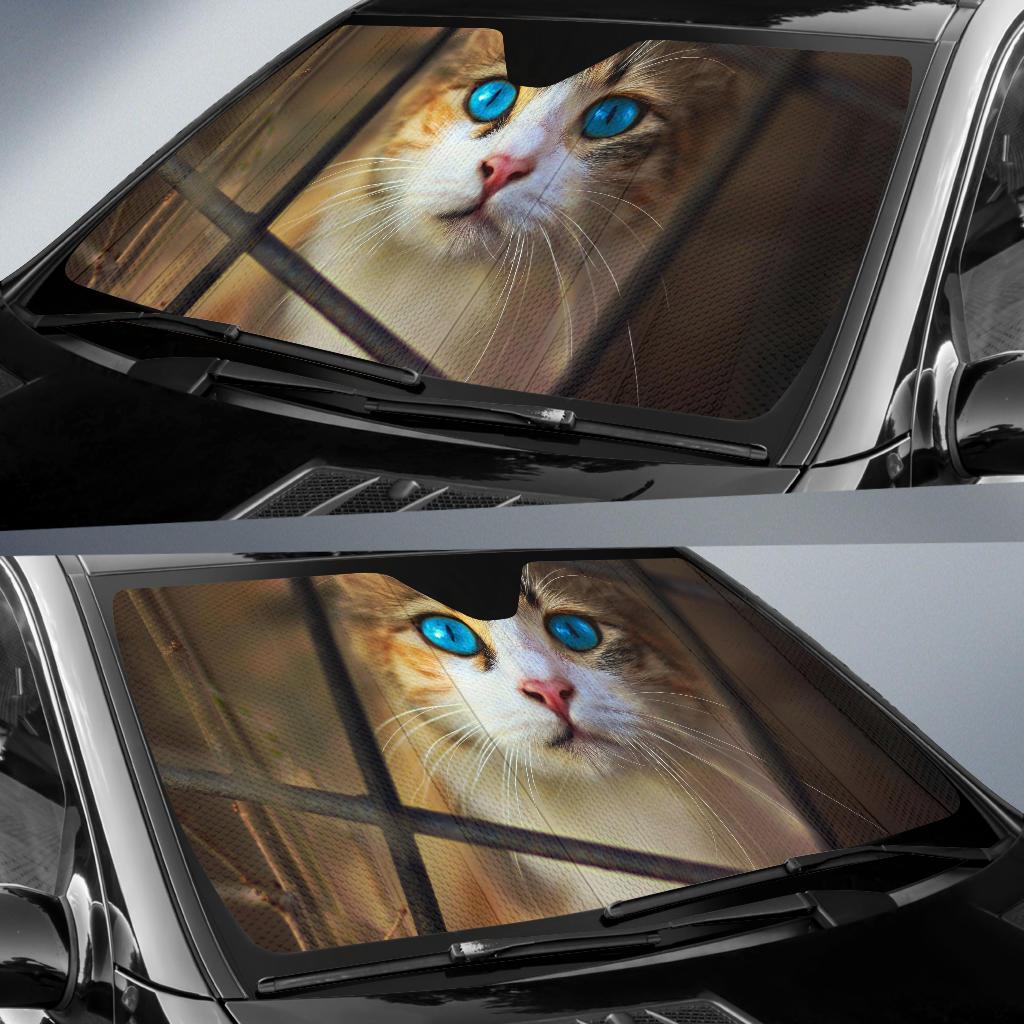 Cat Cute Blue Eyes Hd Car Sun Shade Gift Ideas 2022