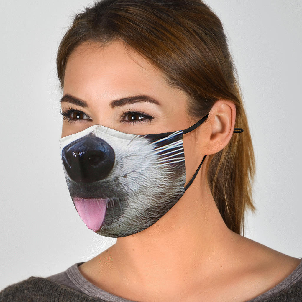 Raccoon Face Mask