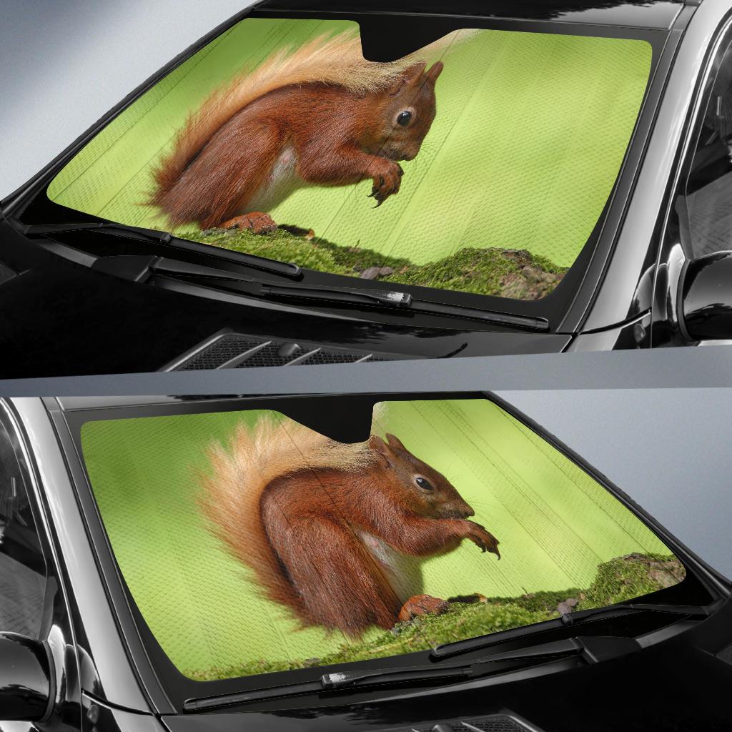 Squirrel Hd Car Sun Shade Gift Ideas 2022