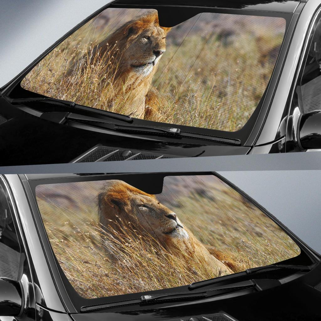 African Lion Hd 5K Car Sun Shade Gift Ideas 2022