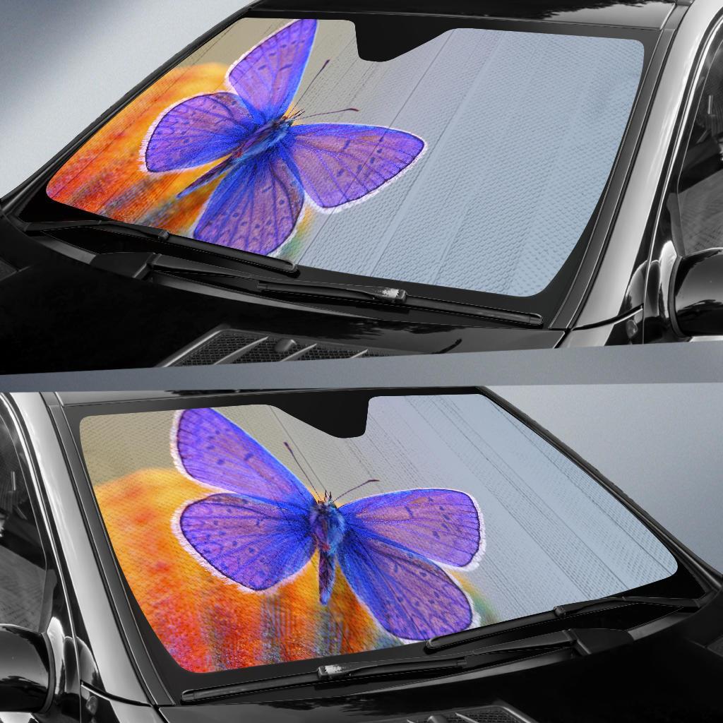 Blue Butterfly Macro Hd Car Sun Shade Gift Ideas 2021