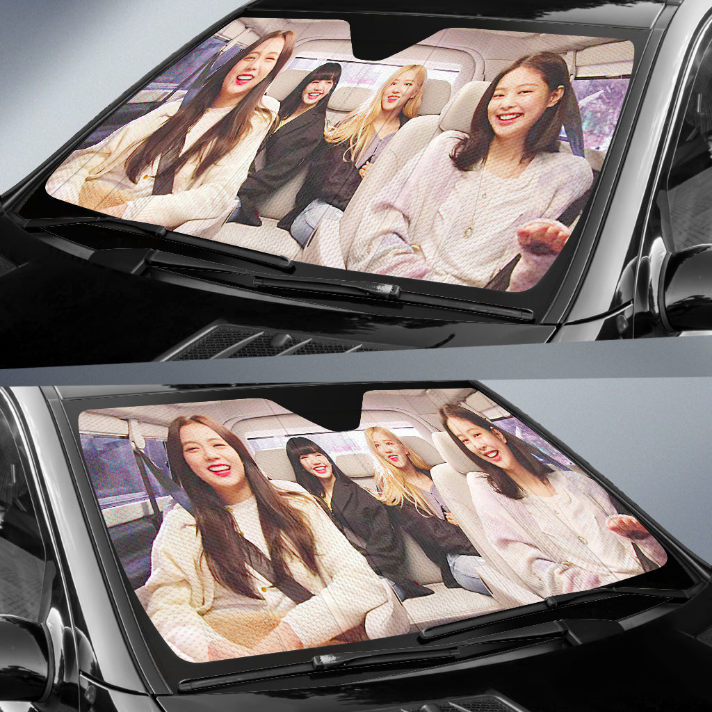 Black Pink 4 Car Sun Auto Shade