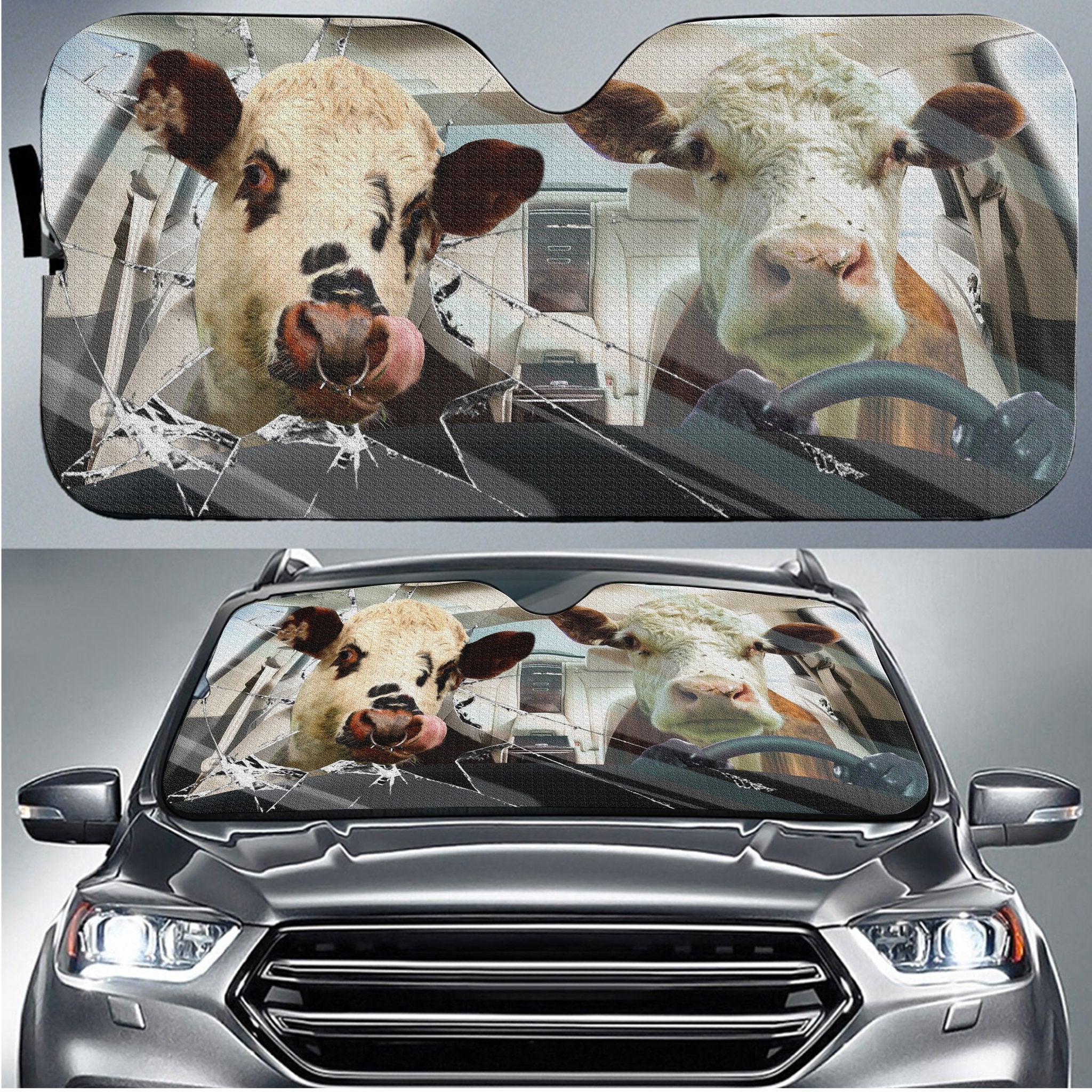 Hereford Broken Glass Funny Carshade Gift Ideas 2022